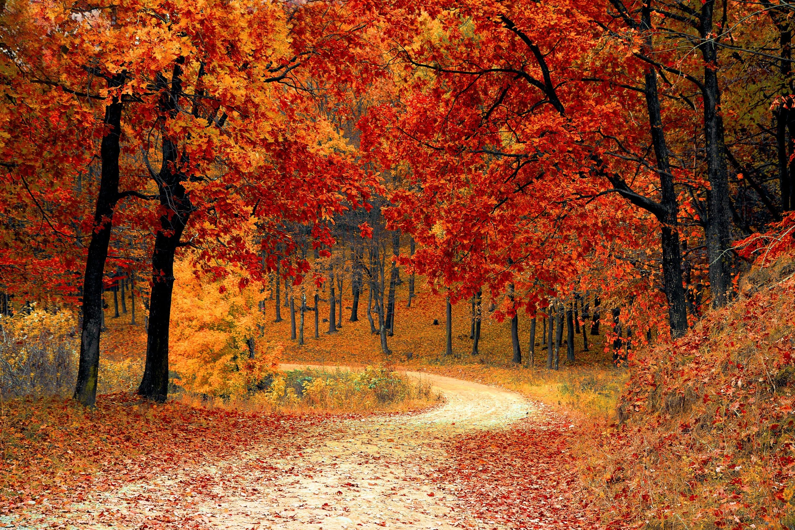 Déprime automne